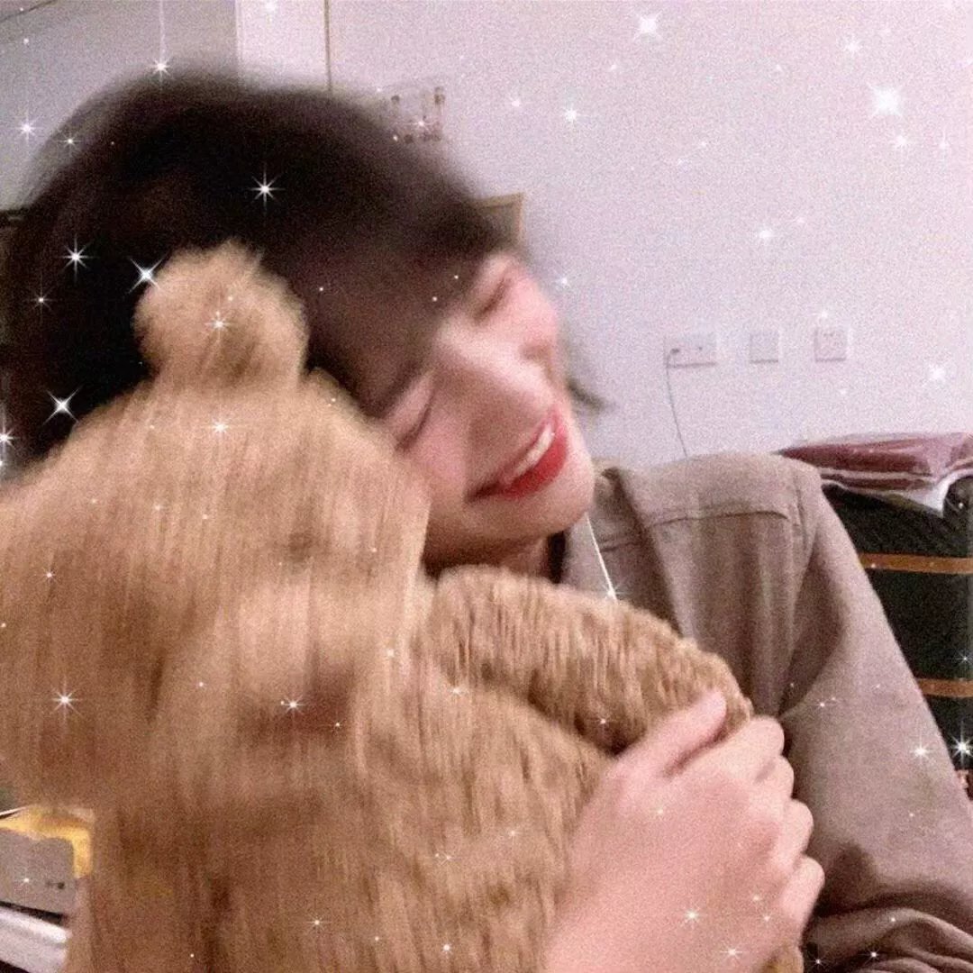 驯龙记：伯克岛的龙骑手第一季